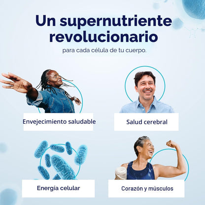 Suplemento potenciador patentado NAD+ más eficiente que NMN - Ribos...
