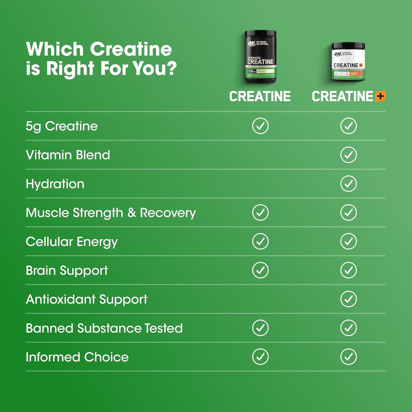 Optimum Nutrition Creatina Micronizada Monohidrato en Polvo, Sin Sa...