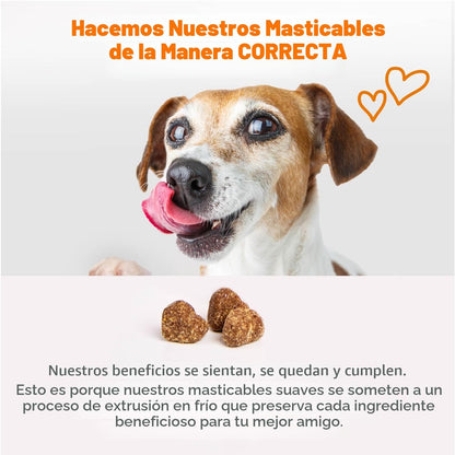 Zesty Paws Multivitamínico para perros \u2013 Glucosamina y condroi...