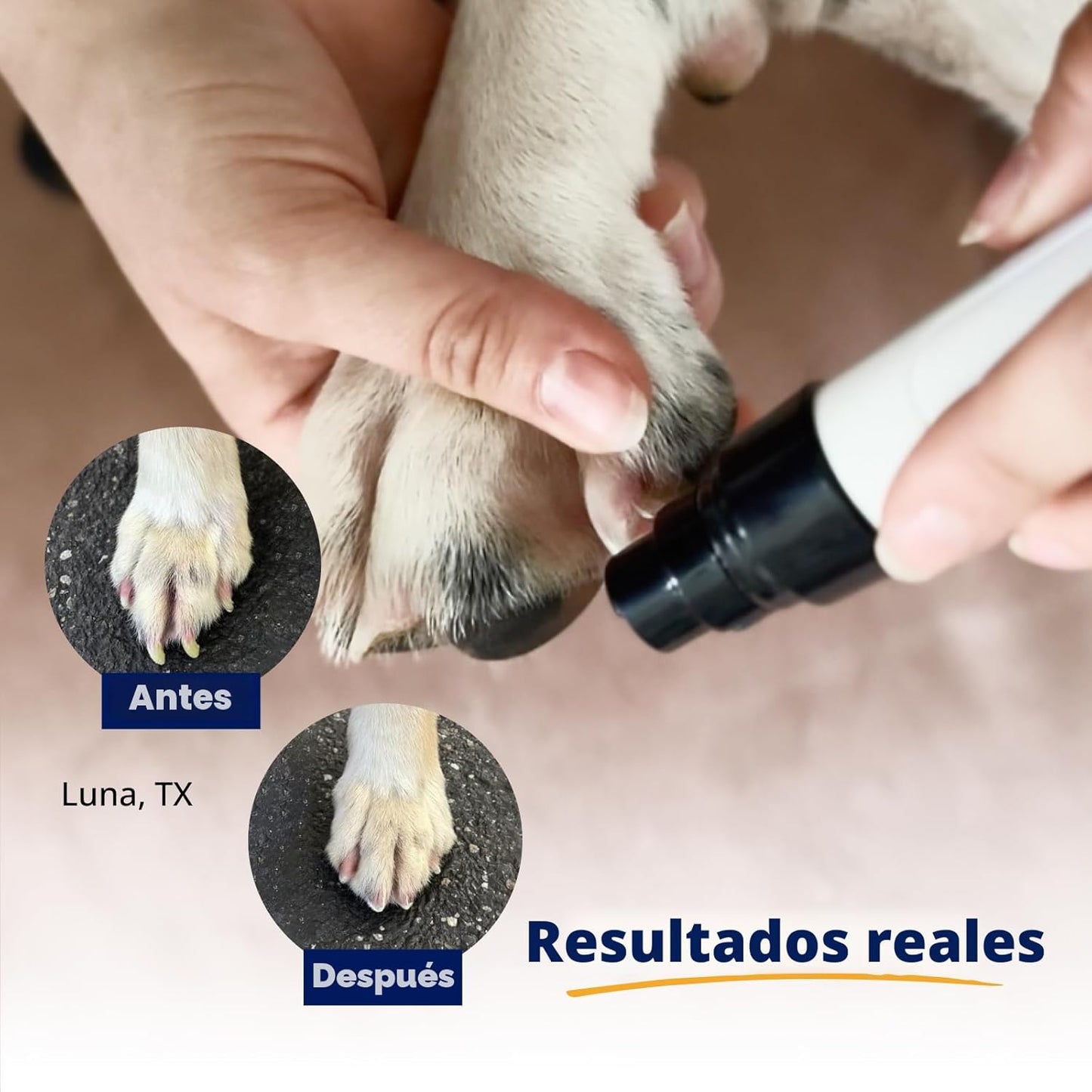 Heusom Silent Groom Pro Molinillo de uñas para mascotas | Cortador...