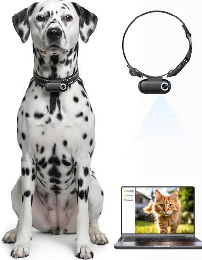 ZoomaraKam Collar de cámara para perros y gatos, grabación de video...