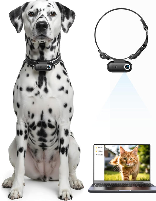 ZoomaraKam Collar de cámara para perros y gatos, grabación de video...