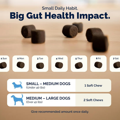 Vetnique Glandex Probióticos diarios para perros con prebióticos pa...