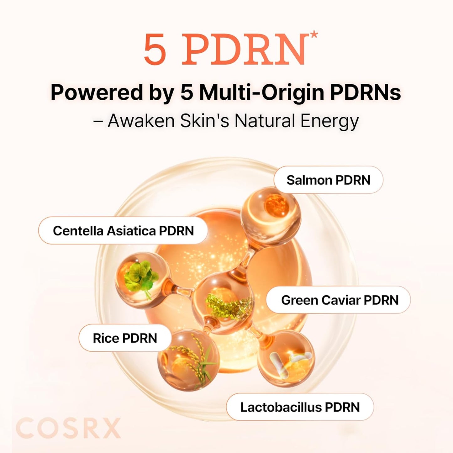 COSRX 5 PDRN Collagen Intense Vitalizing Serum - Suero coreano para reafirmar y dar brillo a la piel con ADN de salmón, centella, lactobacilo PDRN y colágeno, cuidado de la piel coreana, artículos