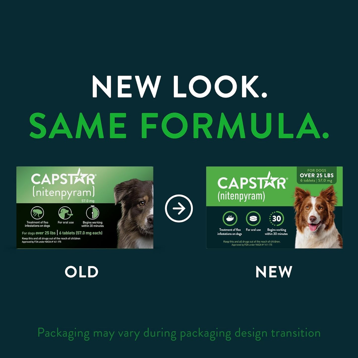 Capstar (nitenpyram) para perros, tratamiento oral de pulgas de acc...