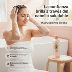 DAENG GI MEO RI Ki Gold Premium 2 Champú 26.4 fl oz + Tratamiento 2...