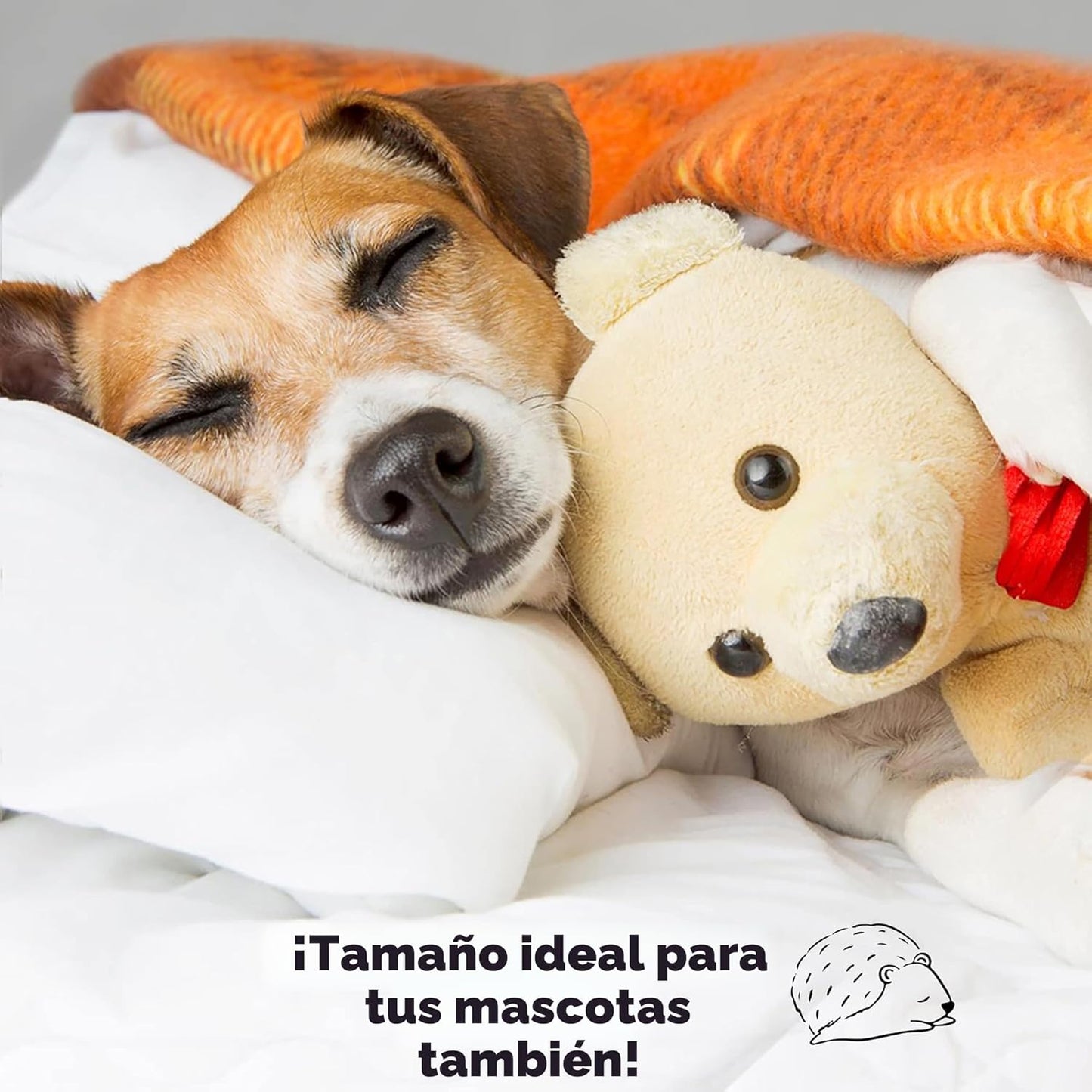 My Little Dreamy Kids Almohada pequeña de 13 x 18 pulgadas con fund...