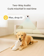 Furbo Mini Cámara para Mascotas: Cámara de Seguridad con Alertas de...