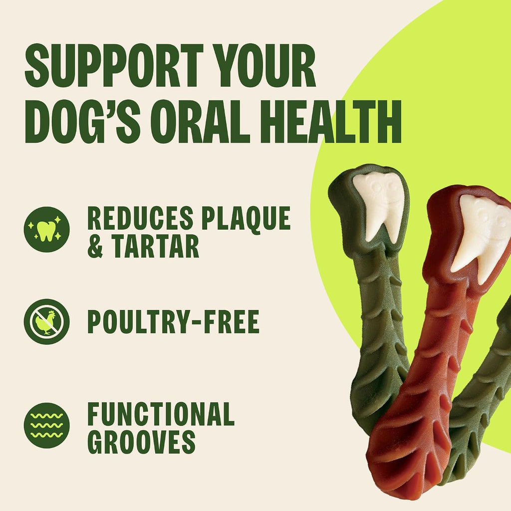 Wellness WHIMZEES Value Pack - Premio dental natural para perros, m...