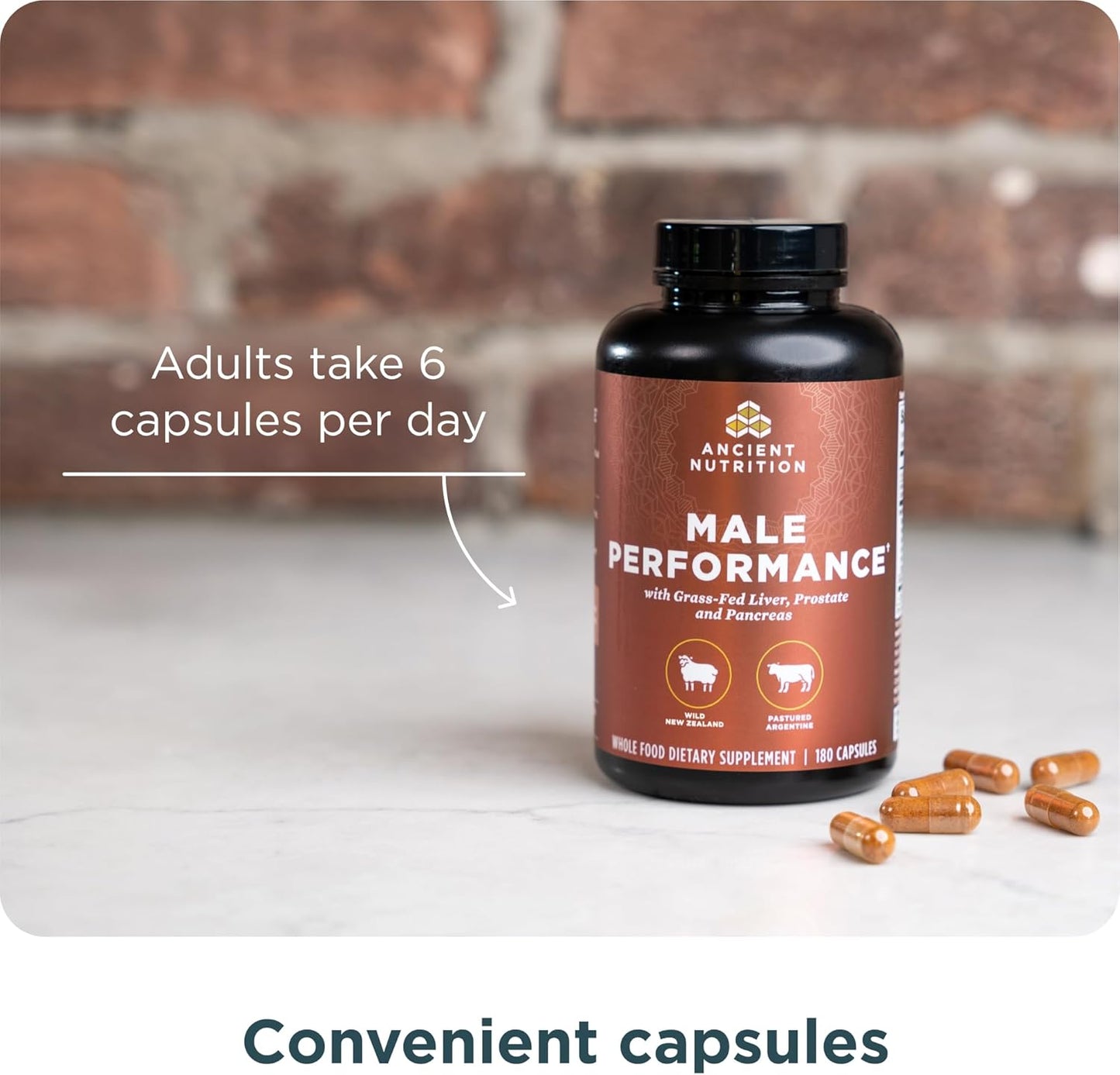 Ancient Nutrition Suplementos de Órganos para Hombres, Cápsulas de...
