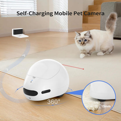 pumpkii Cámara para gatos con juguete puntero interactivo, robot mó...