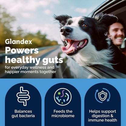 Vetnique Glandex Probióticos Diarios para Perros con Prebióticos pa...