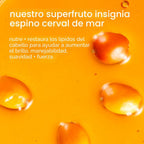 amika The Wizard - Capa base para desenredar el cabello
