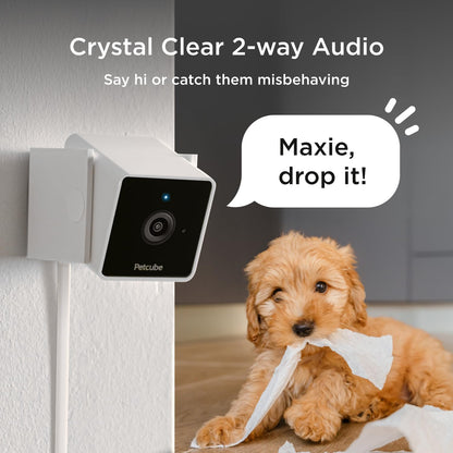 Petcube Cam The Pack de 2 | Cámara de seguridad para mascotas Wi-Fi...