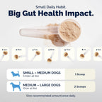 Vetnique Glandex Probióticos Diarios para Perros con Prebióticos pa...
