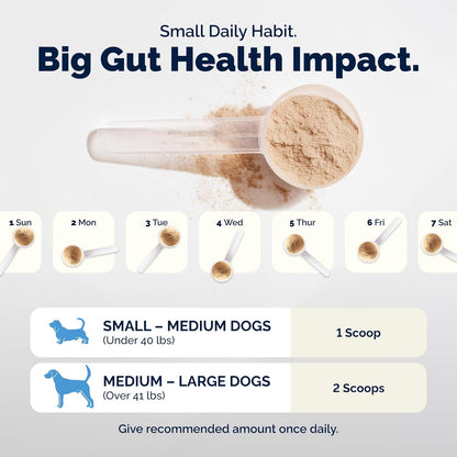 Vetnique Glandex Probióticos Diarios para Perros con Prebióticos pa...