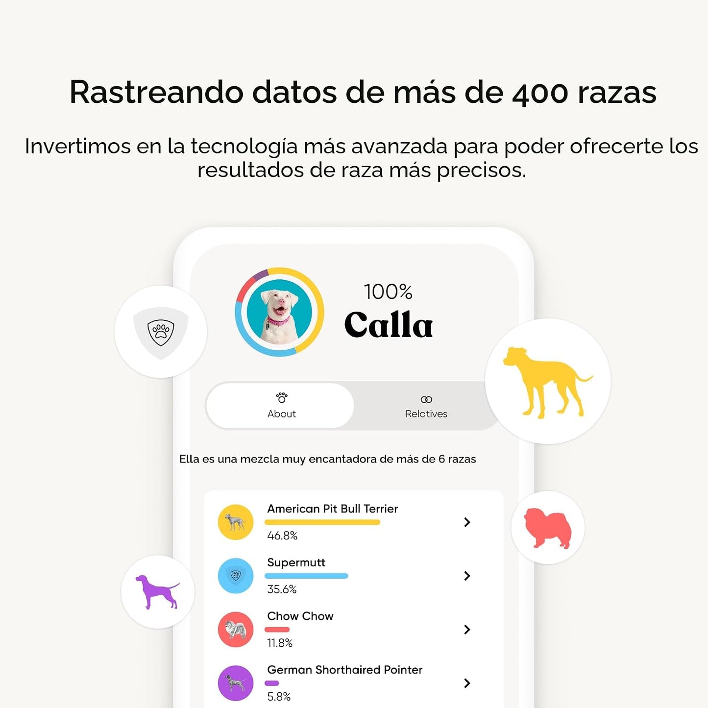 Kit de identificación de raza Embark - Kit de prueba de ADN para pe...