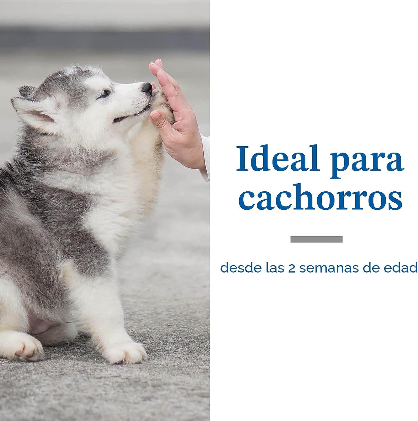 PetArmor Sure Shot - Líquido desparasitante para perros, gusanos re...