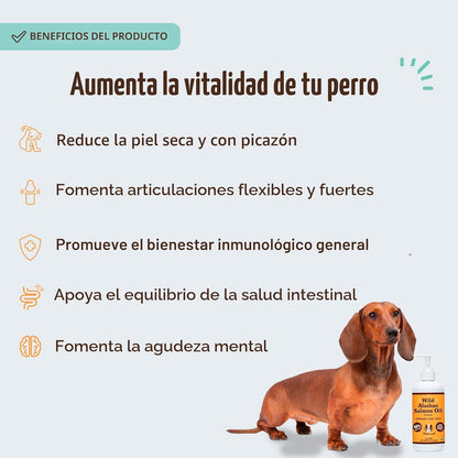 Natural Dog Company Aceite de salmón salvaje de Alaska para perros,...