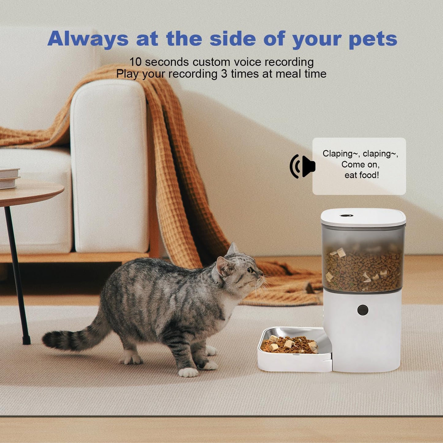 ANDOLL HOME Comedero automático para gatos 2.4G\/5G, dispensador de...