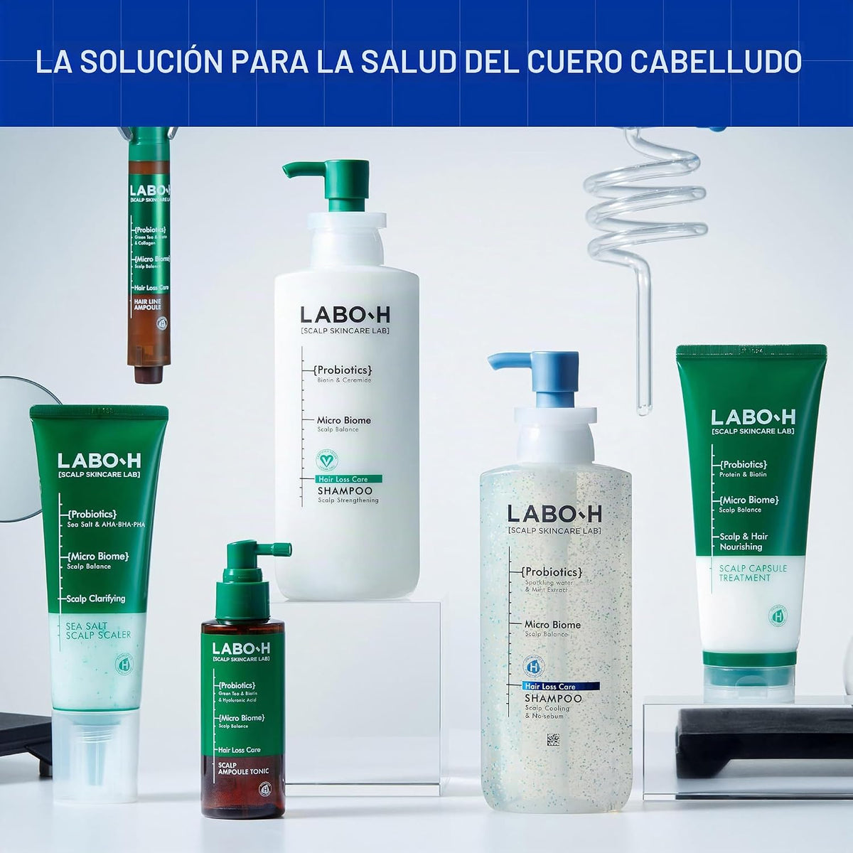 LABO.H Champú sin sebo | Cuidado del cuero cabelludo coreano, enfri...