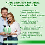 Luseta Tea Tree Mint Champú y acondicionador para limpieza del cabe...