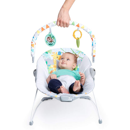 Bright Starts Silla Mecedora con Vibraciones Tranquilizantes para B...