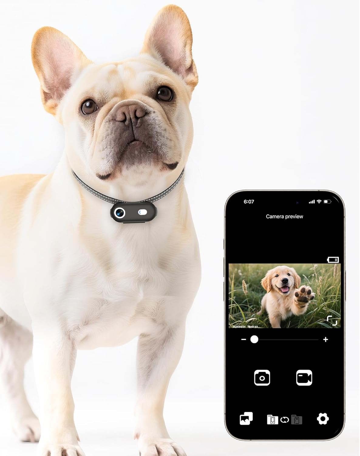 Collar de cámara para perros y gatos con aplicación para teléfono,...