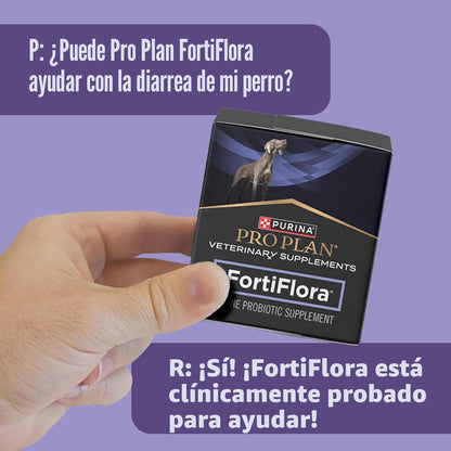 Purina Pro Plan - Suplementos veterinarios FortiFlora - Probióticos...