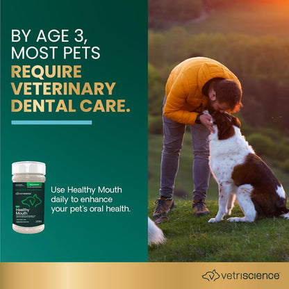 VetriScience Polvo de cuidado dental, soporte perio clínicamente pr...