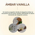KUNDAL Juego de champú y acondicionador coreano, calidad de salón,...