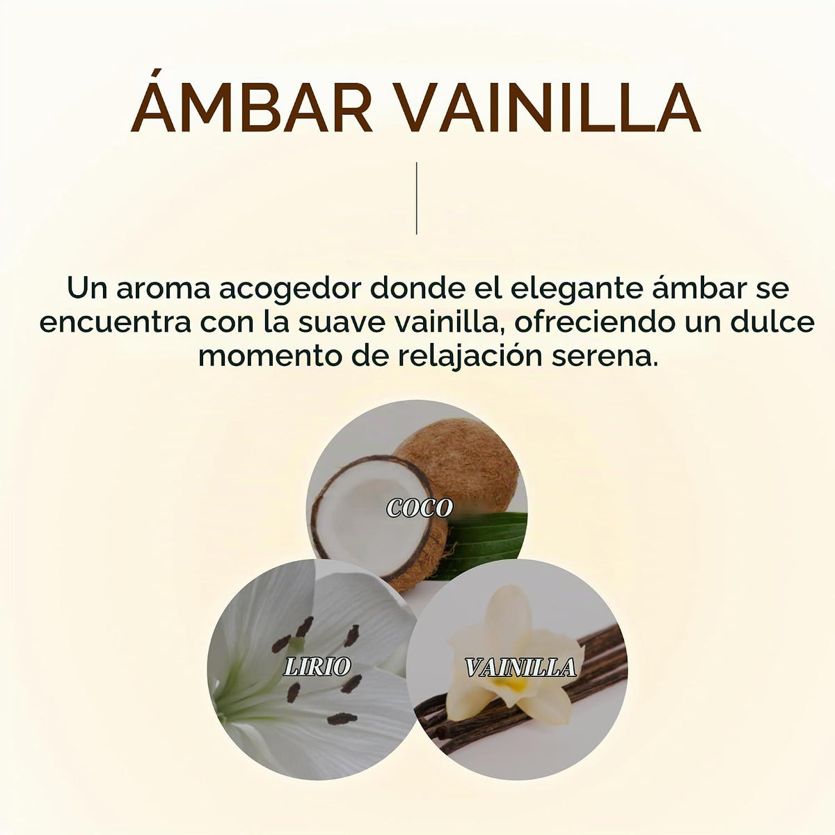 KUNDAL Juego de champú y acondicionador coreano, calidad de salón,...