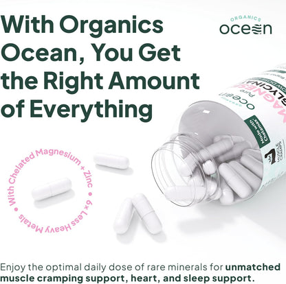 Organics Ocean Glicinato de Magnesio Puro con Zinc - Suplemento de...