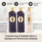 DAENG GI MEO RI Ki Gold Premium 2 Champú 26.4 fl oz + Tratamiento 2...