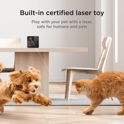 Petcube Play 2 Cámara Wi-Fi para mascotas con juguete láser para ga...