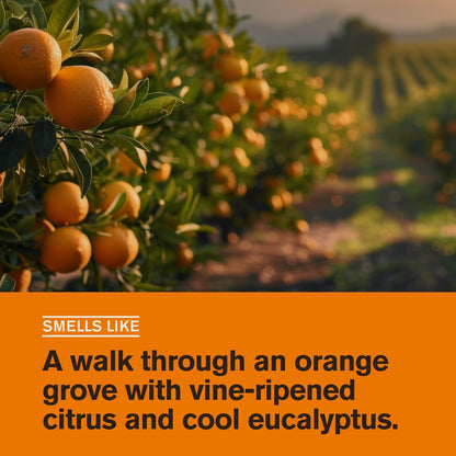 Every Man Jack Citrus + Eucalyptus Gel de baño para hombre para tod...