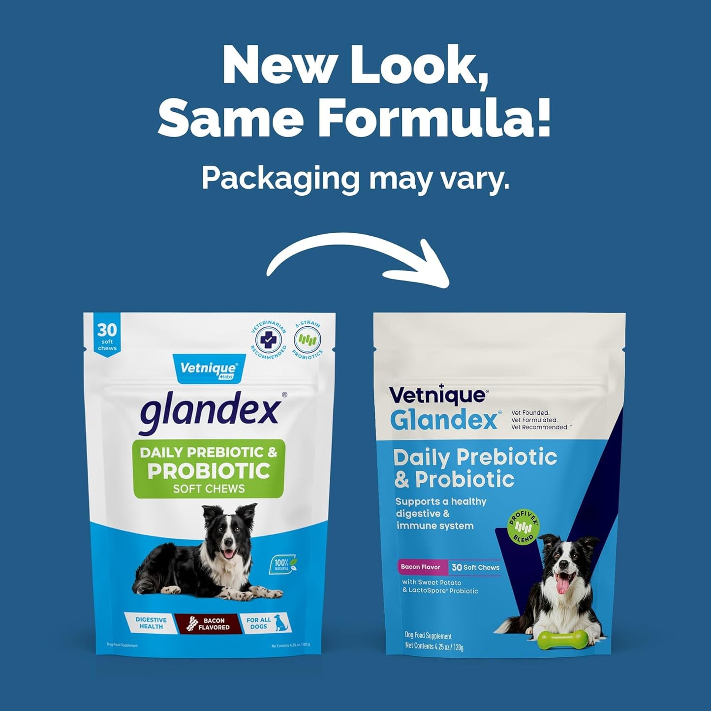 Vetnique Glandex - Probióticos diarios para perros con prebióticos...