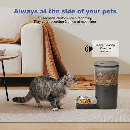 Comedero automático para gatos, dispensador de comida para gatos co...