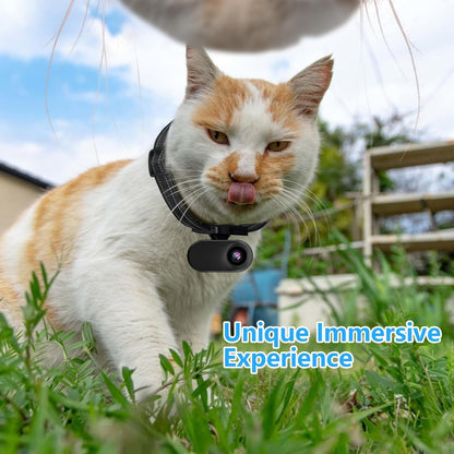 ehomful Collar de cámara HD 1080P para gatos con grabación de video...