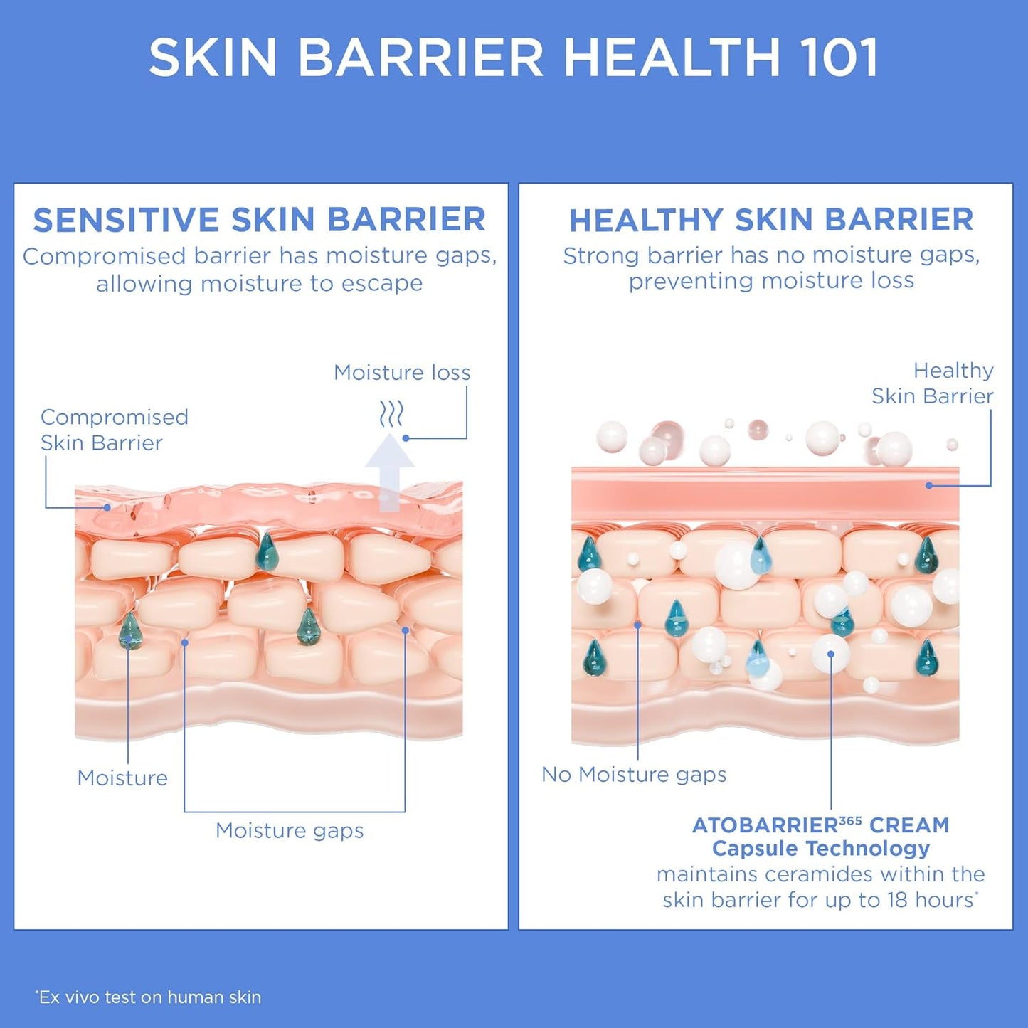 AESTURA ATOBARRIER365 Crema con Ceramidas, Hidratante Facial Coreano para Reparación de la Barrera | Hidratación Duradera de 120H, Cápsulas de Ceramidas, Para Piel Seca y Sensible, No comedogénica, 80
