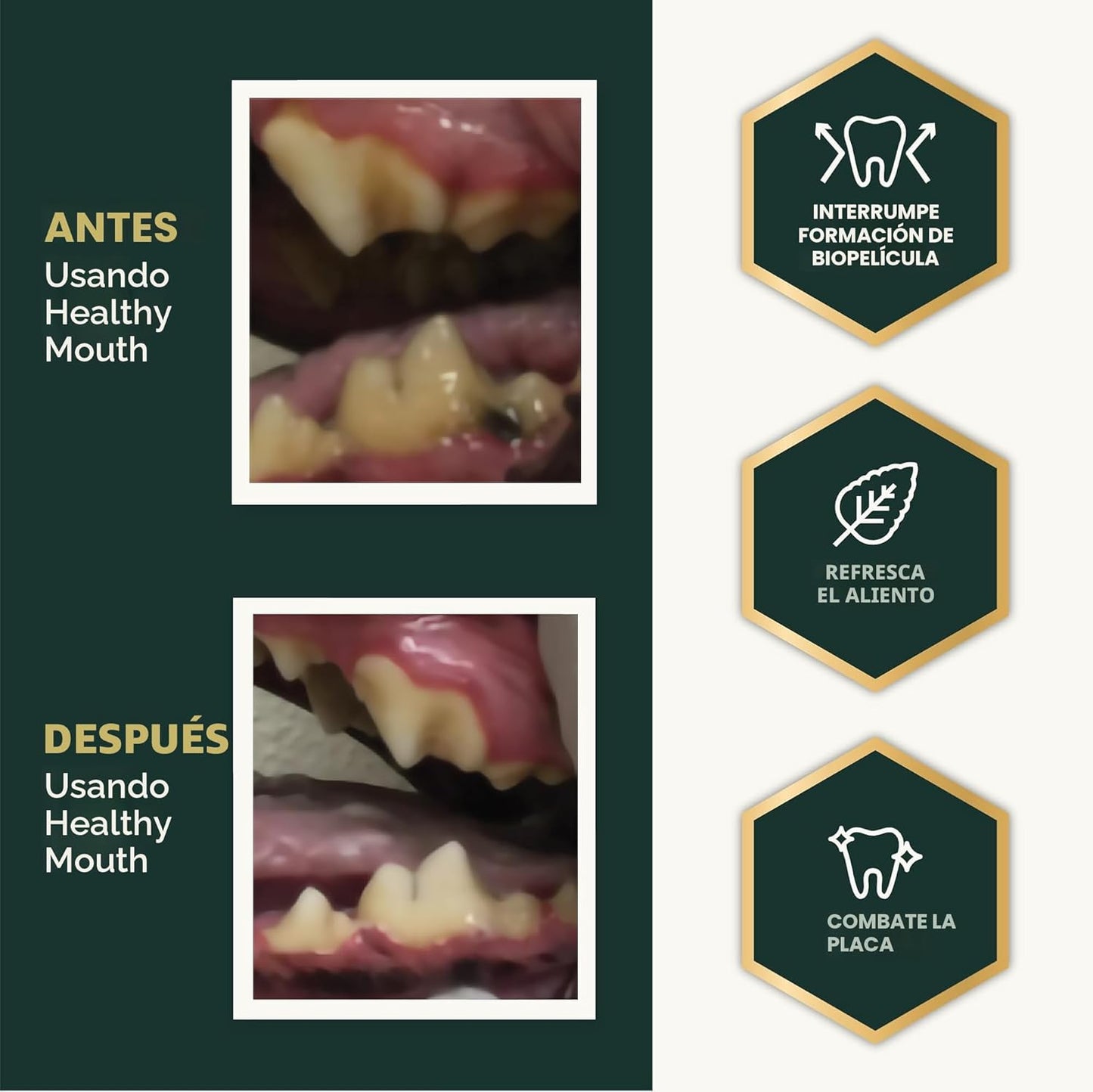 VetriScience Polvo de cuidado dental para perros y gatos: ayuda a r...
