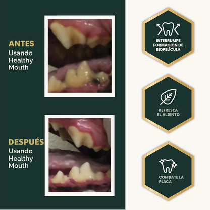VetriScience Polvo de cuidado dental para perros y gatos: ayuda a r...