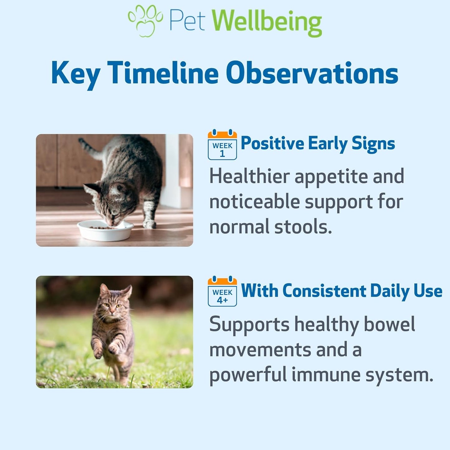 Pet Wellbeing Ultimate Probiotic 9 cepas con prebióticos FOS para g...