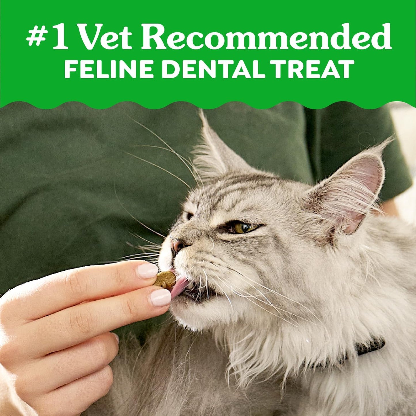 Greenies Golosinas dentales naturales para gatos adultos recomendad...