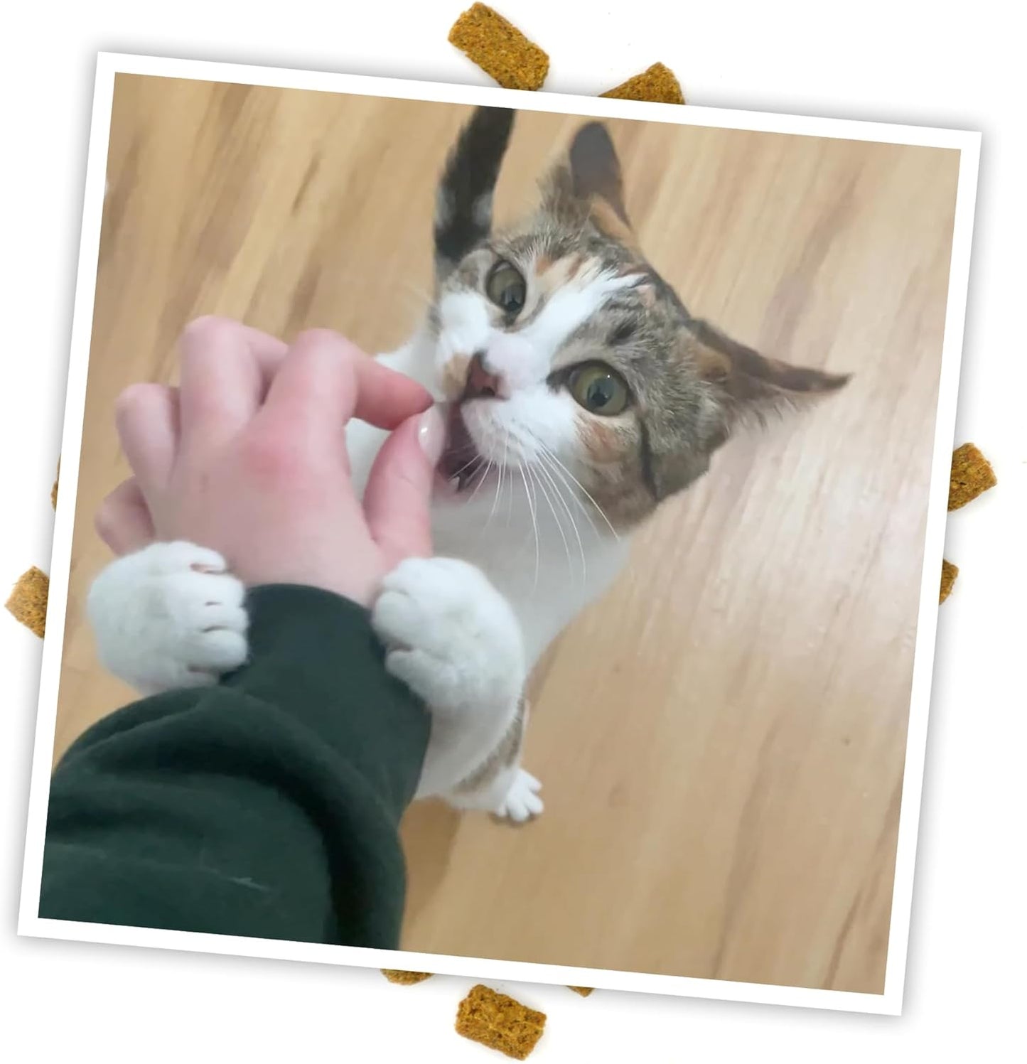Meowijuana Crunchie Munchie - Paquete de golosinas de hierba gatera...