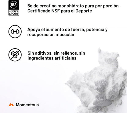 Momentous Polvo de monohidrato de creatina, polvo de creatina, apoy...