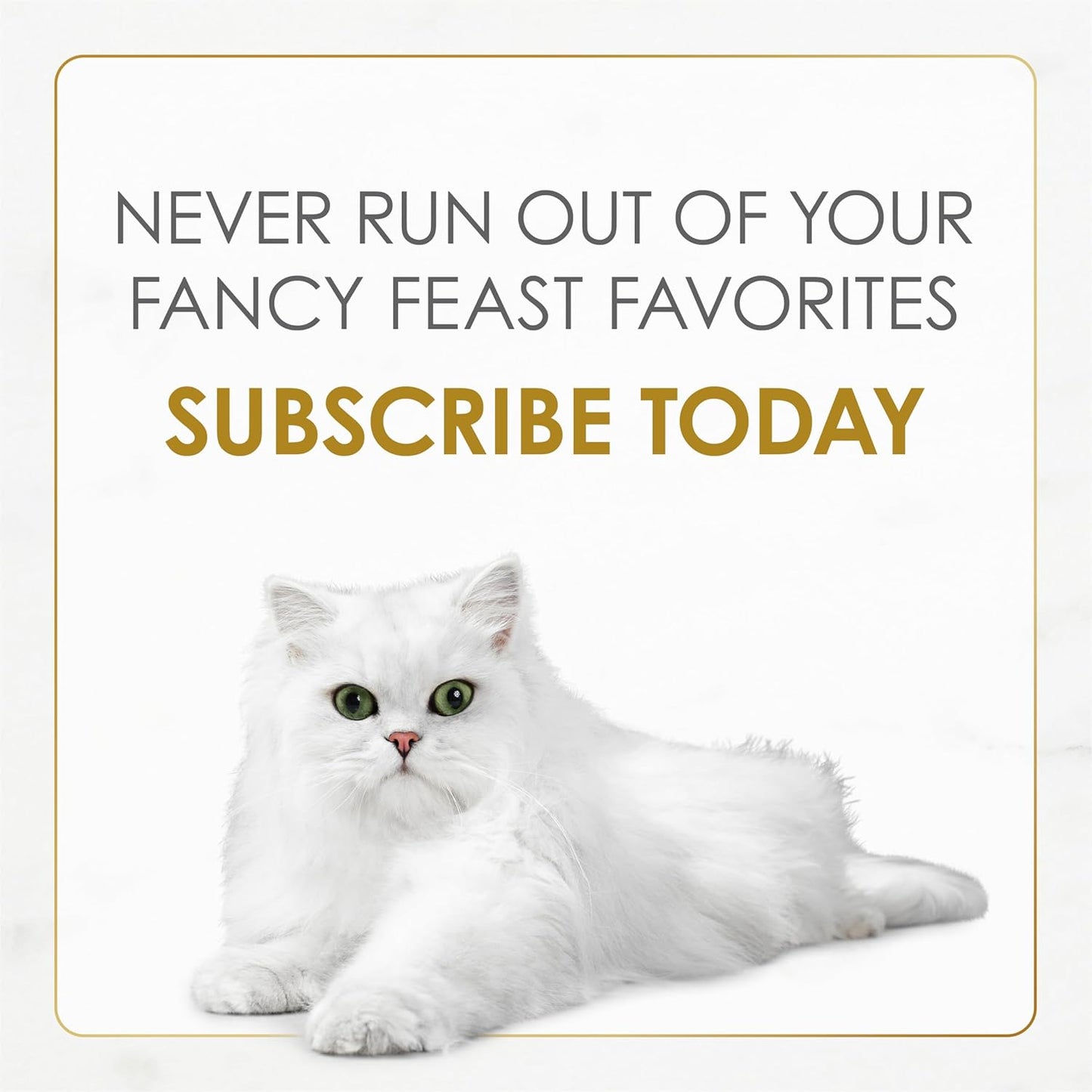 Fancy Feast Purina Gravy Lovers Chicken Feast en comida húmeda gour...