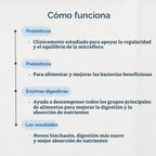 Zenwise - Enzimas múltiples con probióticos y prebióticos para la s...