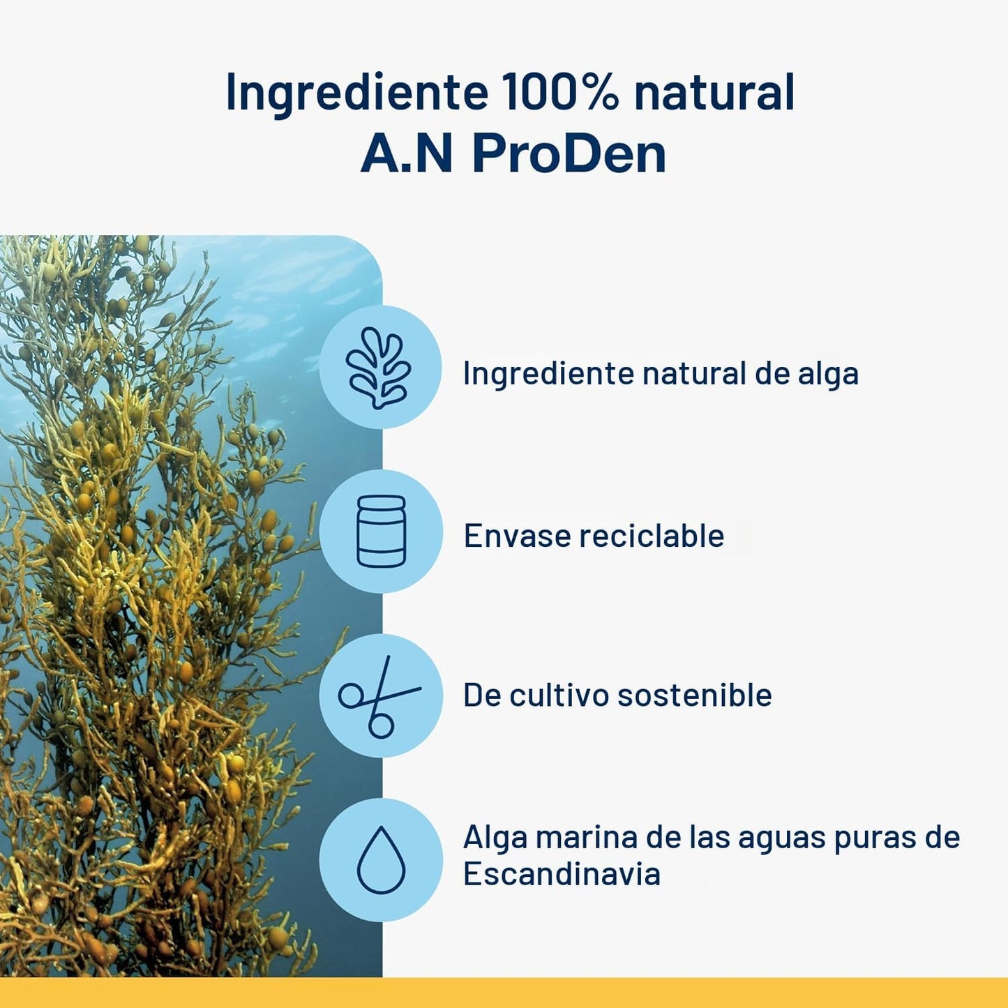 Polvo para eliminar placa dental ProDen