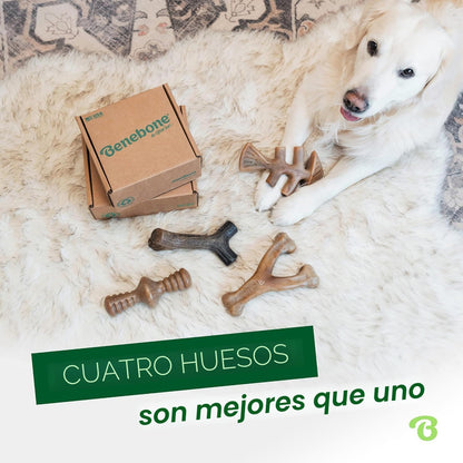 Benebone Paquete de 4 juguetes masticables medianos para perros par...